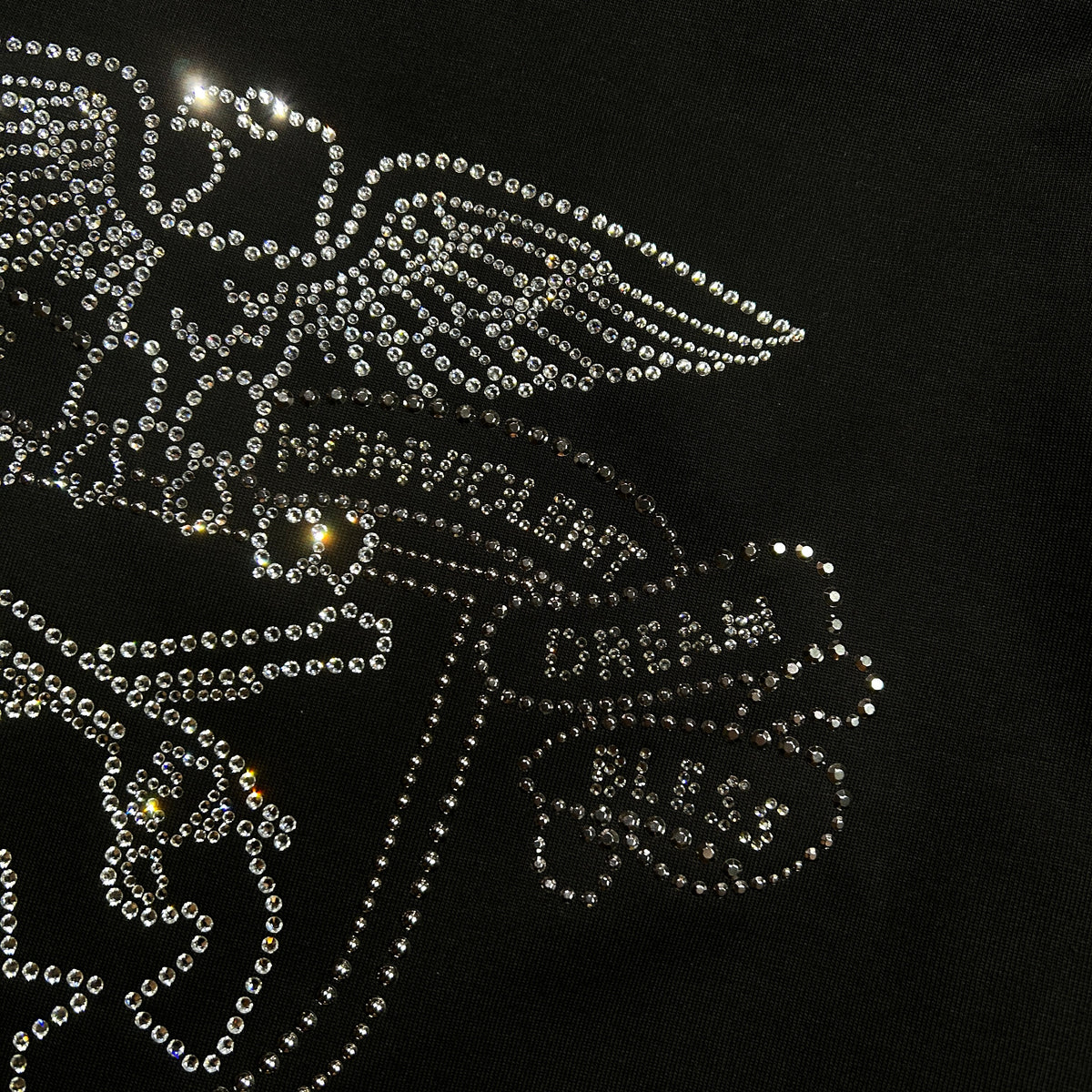 EAGLE CRYSTAL L/S T-SHIRT / BLACK
