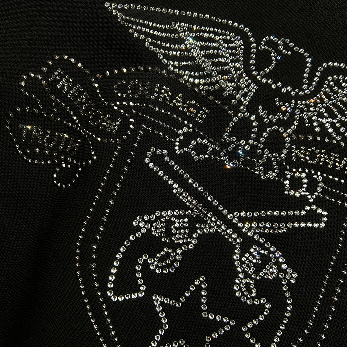 EAGLE CRYSTAL L/S T-SHIRT / BLACK