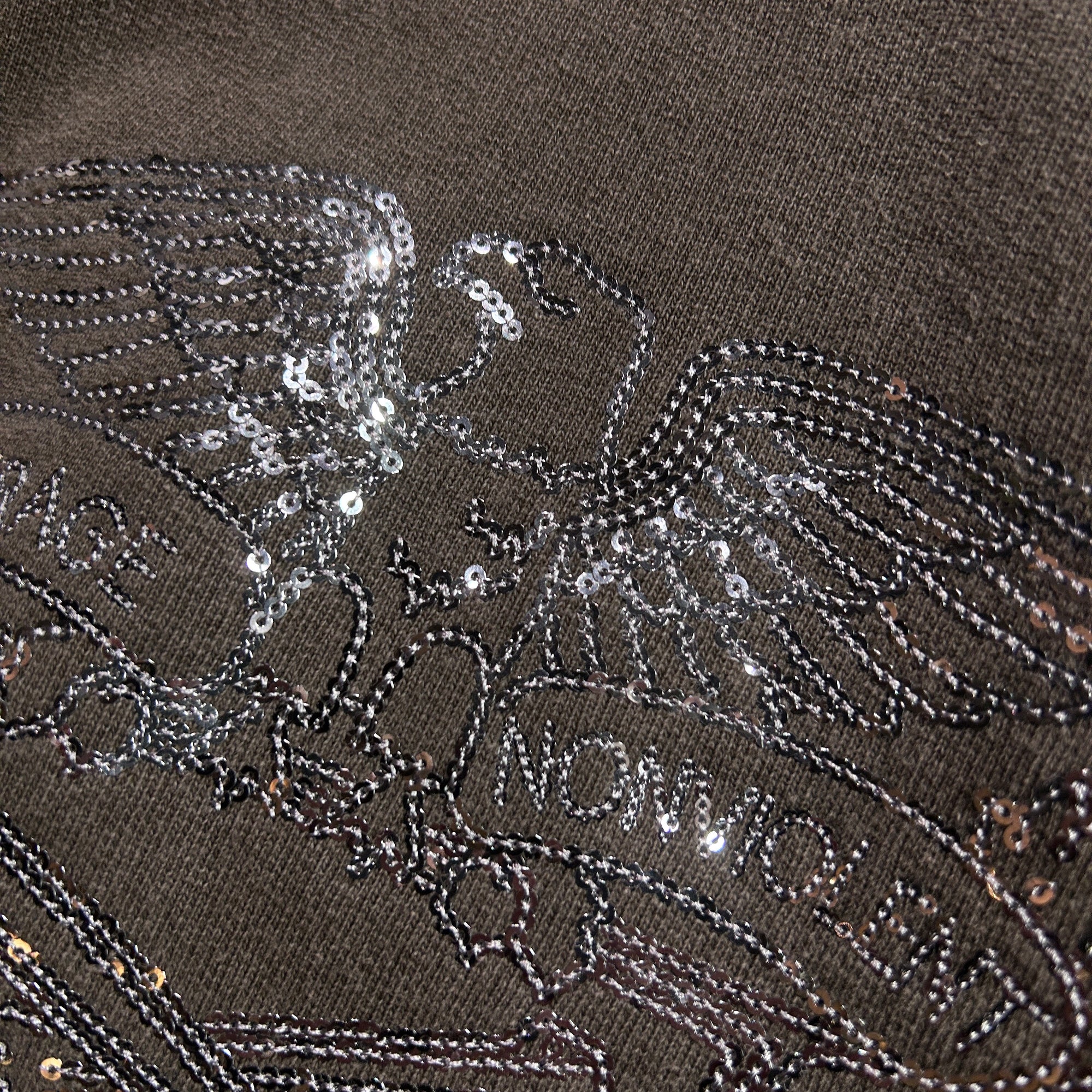 画像をギャラリービューアに読み込む, SPANGLE EMBROIDERY HOODIE / BROWN