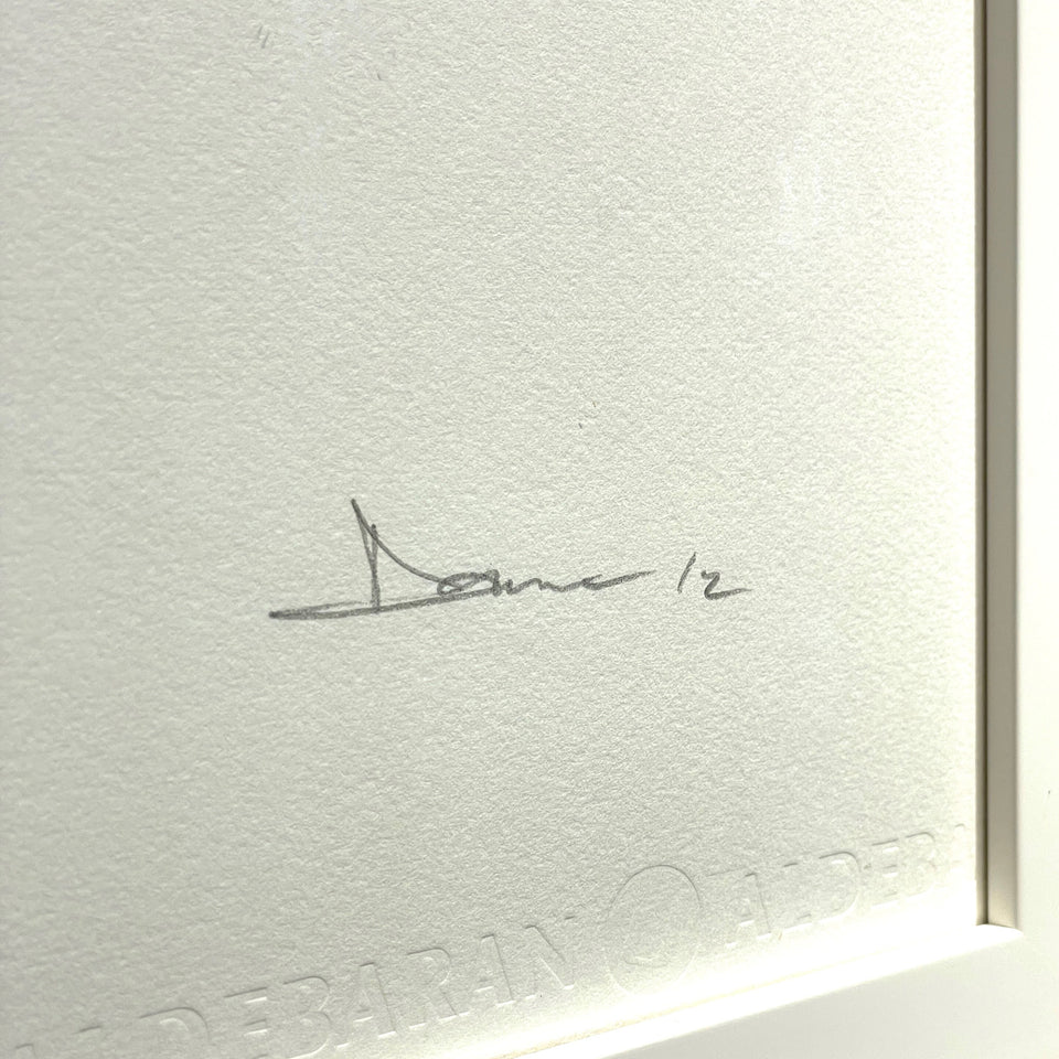 画像をギャラリービューアに読み込む, DOLK / PUNK