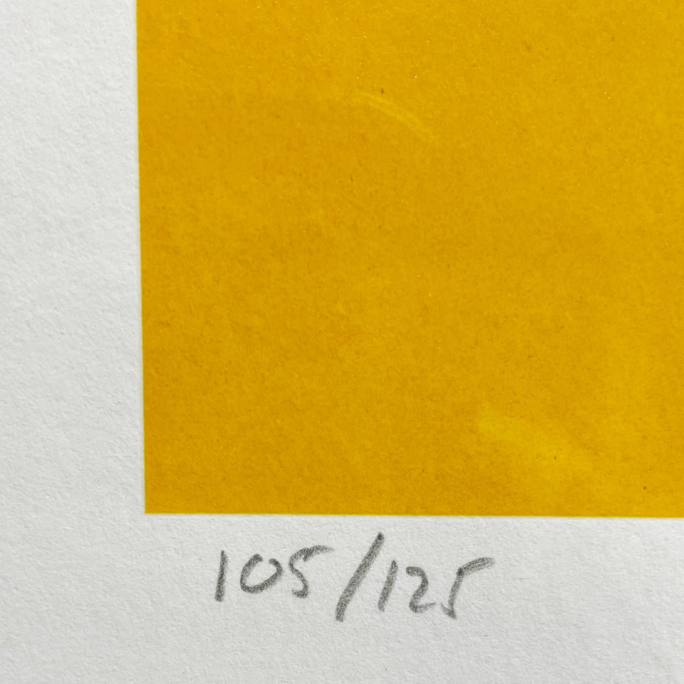 画像をギャラリービューアに読み込む, D*FACE / POP TART YELLOW