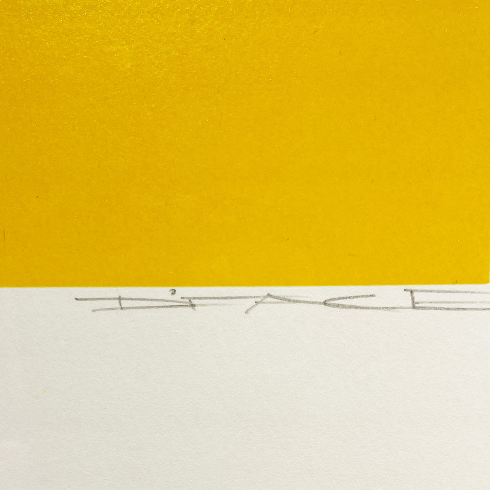 画像をギャラリービューアに読み込む, D*FACE / POP TART YELLOW