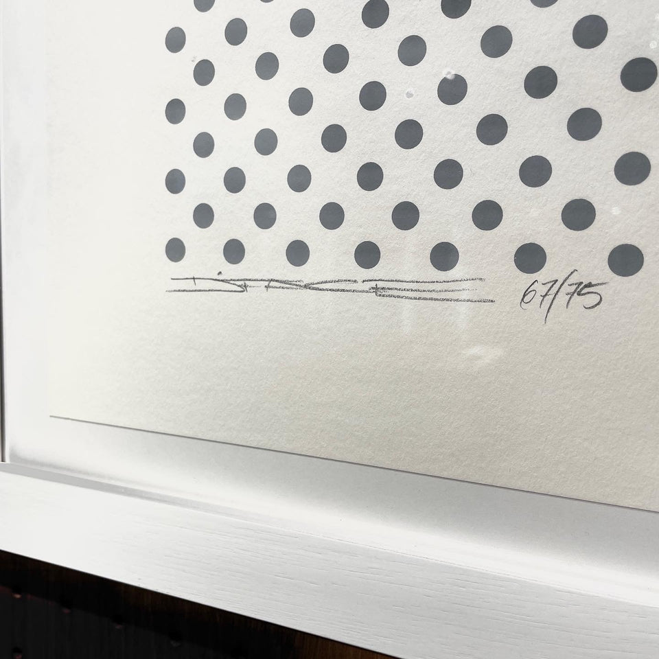 画像をギャラリービューアに読み込む, D*FACE / D Tail