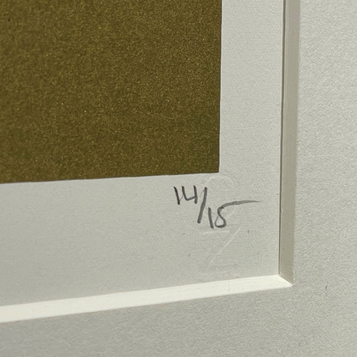 画像をギャラリービューアに読み込む, RYCA / Reservoir Trooper Gold Special Edition