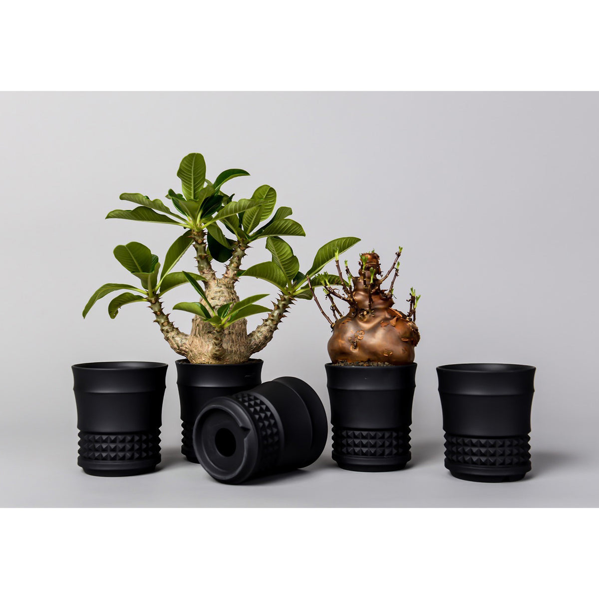 CERADEMIC POT